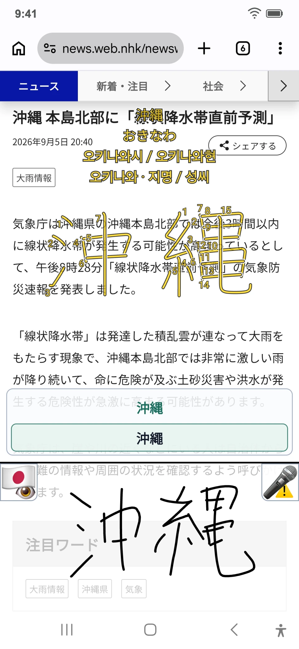 일본어 뉴스 위에서 沖縄를 쓰고 한국어 뜻과 획순을 확인한 실제 앱 화면
